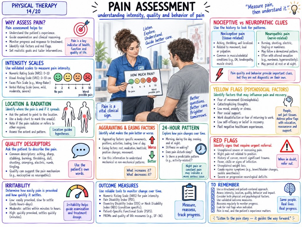 14/20 Pain Assessment: Understanding Intensity, Quality and Behavior of Pain